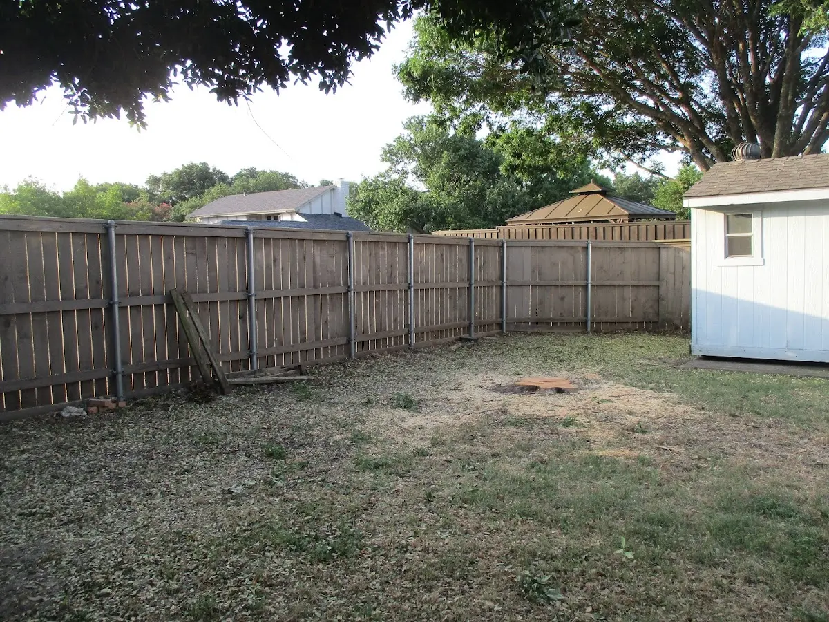 Cleared yard after professional tree removal in Morton